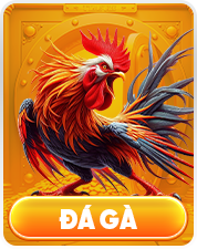 đá gà tt88